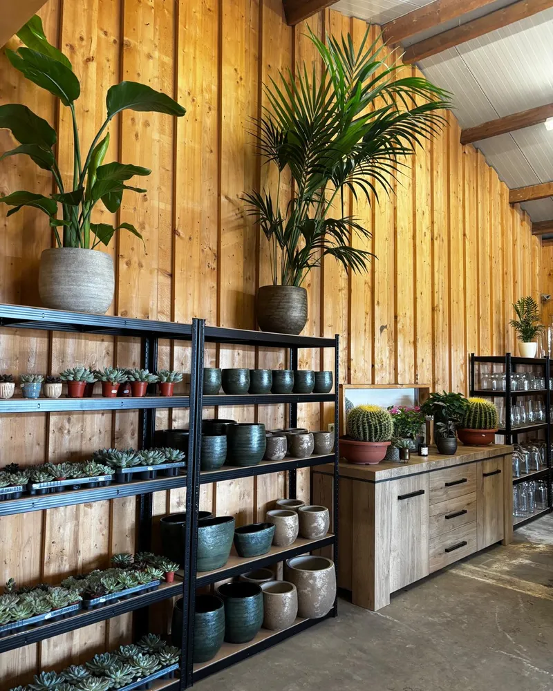 Planten